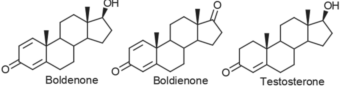 maintain stable levels of Boldenone in your body